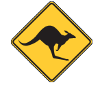 Narrandera Skippycoin ICG Narrandera Skippycoin ICG